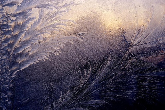 Frost Large Web view.jpg